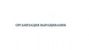 ВЫРАЩИВАНИЕ ЛЕКАРСТВЕННЫХ РАСТЕНИЙ КАК БИЗНЕС