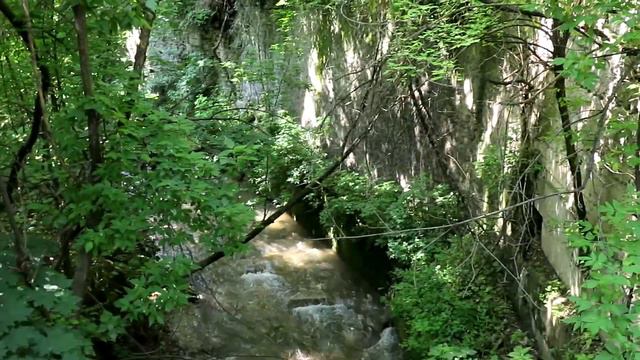 СДЕЛАЛА МАСКУ В ВИДЕ ПАНДЫ!ПОДПИСЧИКИ УПРАВЛЯЮТ МОИМ ДНЕМ смотреть онлайн