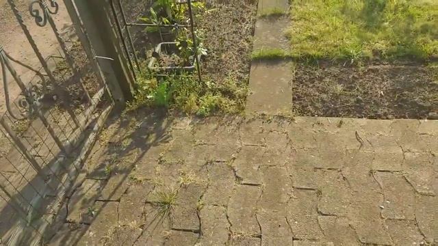 что растёт уже на даче смотреть онлайн