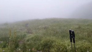 Палаточный лагерь на КАМЧАТКЕ. К нам приходил медведь!