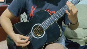 Amour .- Rammstein | Acustic Guitar Cover