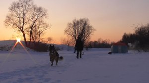 ТРИ ДНЯ живем в палатке.Ставим жерлицы.Готовим торт.