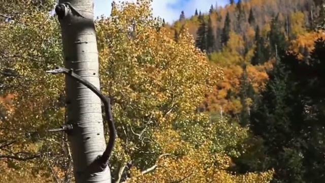 Астрологический прогноз для Весов на июль 2023 года