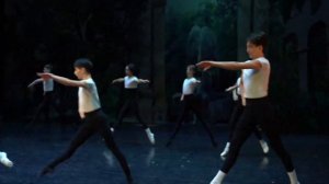 “Роман бутона розы и мотылька”