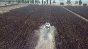 Уборка подсолнечника комбайнами CLAAS и Ростсельмаш