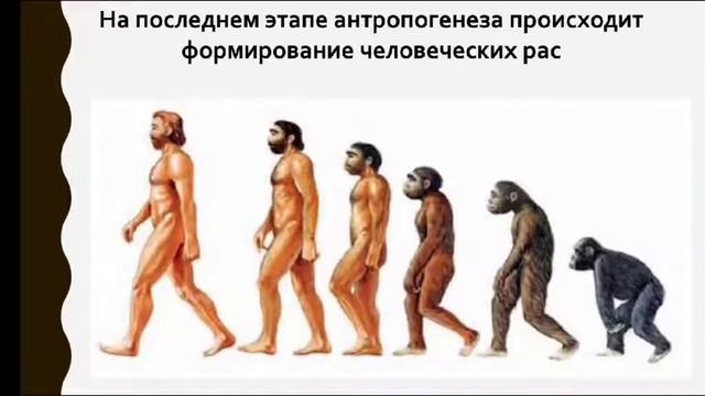 Первобытный мир и зарождение цивилизаций
