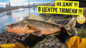 Рыбалка. Судак на джиг. Тест приманок и наживок. Это видео лучше смотреть до рыбалки | Удачный улов