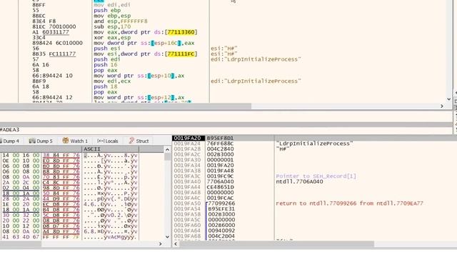 Cracking Software with Reverse Engineering ?