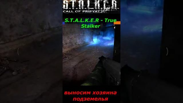 #shorts #S.T.A.L.K.E.R #НАРЕЗКА # ПРИКОЛ # выносим хозяина подземелья