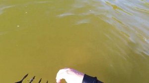 ПОИСКОВЫЕ ГРАБЛИ СВОИМИ РУКАМИ. ТЕСТИРУЮ НА ПЛЯЖЕ. УДАЛОСЬ ЛИ МНЕ НАЙТИ ЗОЛОТО?