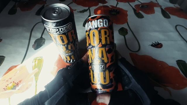 ОБЗОР НА "TOP DOG" TORNADO ENERGY | ЭНЕРГЕТИК ПРОМОУШЕНА "TOP DOG FIGHTING CHAMPIONSHIP" смотреть онлайн