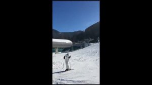 Вена. Австрия. Альпы.#Австрия#горы#альпы# Земмеринг# Катание на санках 24.01.17#экскурсии#вена