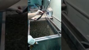 аквапринт воронеж