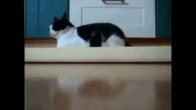 Uschi und der Eierkocher mp4 смотреть онлайн