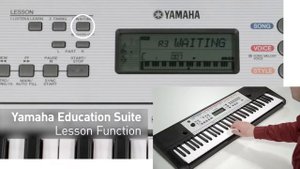 Yamaha YPT 260 Review 2018