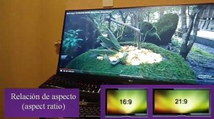 Monitor Lg 34wn650-w | Revisión