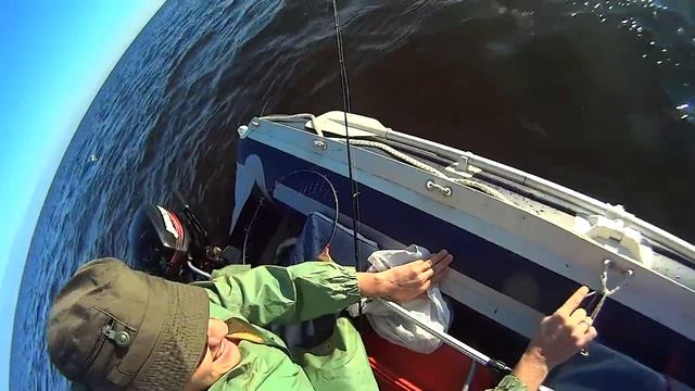Лодка солар 380 Рыбалка на коряжнике 19 08 2014