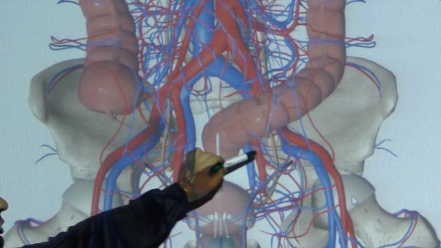 Причины простатита, бездетности, половой слабости смотреть онлайн