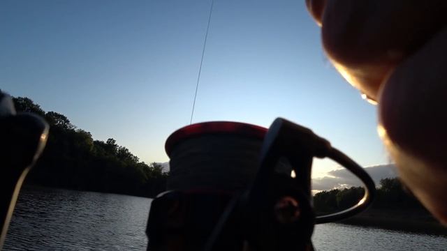 Ловля большого карпа на спиннинг. Мой спиннинг трещит. Fish with me! смотреть онлайн