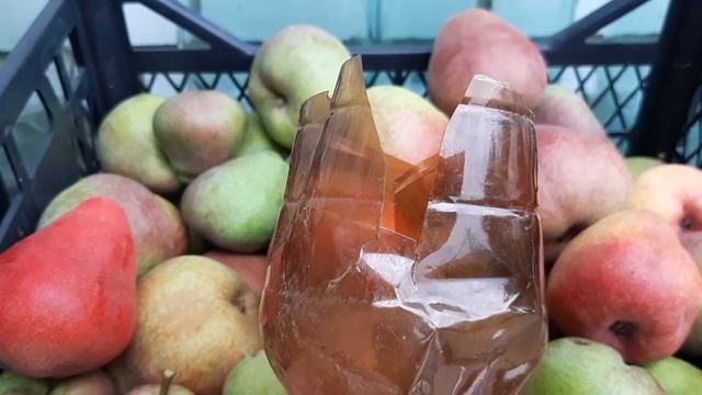 ГРУША КАРМЭН . смотреть онлайн