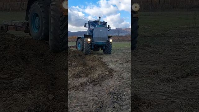 T150 _matani_(480P).mp4 смотреть онлайн