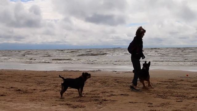 Коста и её первая поездка на финское море. смотреть онлайн