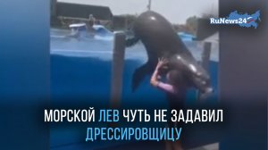 Морской лев чуть не задавил дрессировщицу во время водного представления