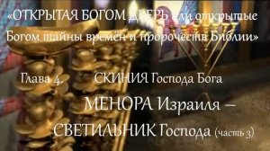 28. ВЕТВИ МЕНОРЫ Израиля (часть 3)