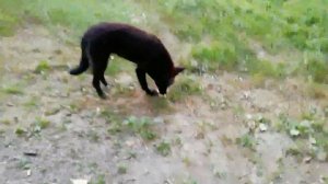 Горячий ключ. Лесная сказка. Инстаграм. Отдых.