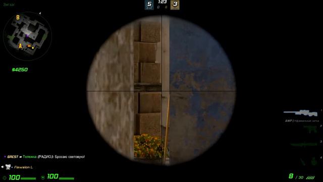 ТРОЛЛИНГ ПОЛЯКОВ В CS:GO #1 смотреть онлайн