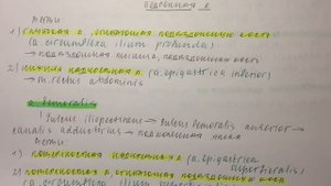 Билет 081. НАРУЖНАЯ ПОДВЗДОШНАЯ АРТЕРИЯ. БЕДРЕННАЯ АРТЕРИЯ. ТОПОГРАФИЯ, ВЕТВИ.