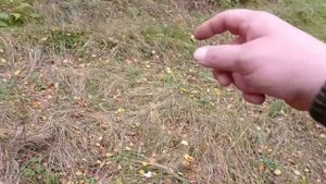 НАХОДКИ В ЛЕСУ КОП ПО СТАРИНЕ.