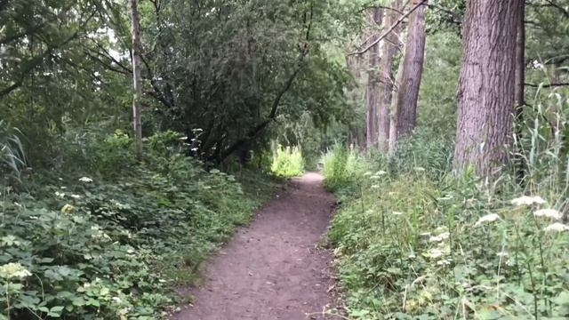 Make a Lucky Talisman Sz1Afl 7 Searching the last ingredient for the talisman - the Betonica plant смотреть онлайн