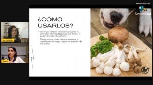 Hongos medicinales y sus beneficios para la salud de tu mascota | Dieta BARF para perros y gatos