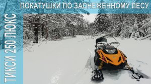 Тикси 250 люкс. Покатушки по заснеженному лесу.