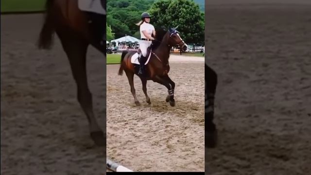 конкур #конный спорт #лошади #кони #любовь #horse valley #выездка #конкур#падения