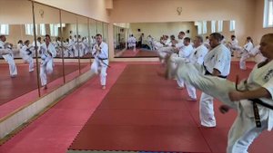 Конференция чёрных поясов