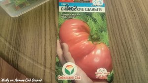 Сибирские КРУПНОПЛОДНЫЕ томаты/ Обзор семян томатов для ОТКРЫТОГО грунта.