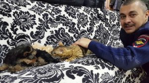 Новый питомец Кузя