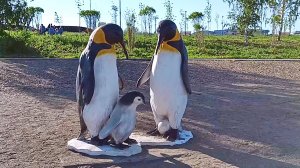 Магнитогорск, парк у Вечного огня и центральный пляж (12.06.2022)