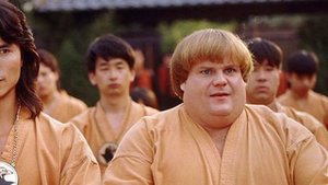 Легенды спорта и боевых искусств. Робин Шу