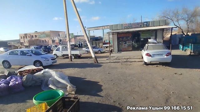 29-ДЕКАБРЬ/ХОЖЕЛИ БАЛЫК БАЗАР/ХОЖЕЛИ РЫБА РЫНОК/XOJELI FISH MARKET/БЕЛАМУР САЗАН МАЙБАС