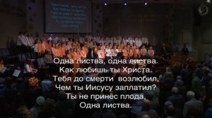 Одна листва, одна листва - общее пение