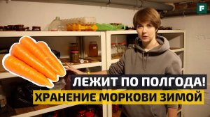 Через 5 месяцев морковь как свежая! Лучший способ хранения! // FORUMHOUSE