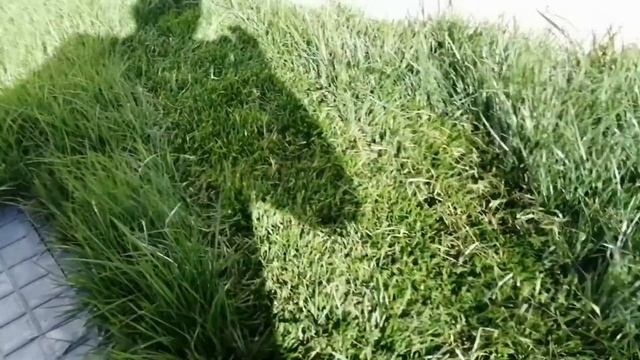 Обзор газонокосилки AL KO 3 82 SE смотреть онлайн