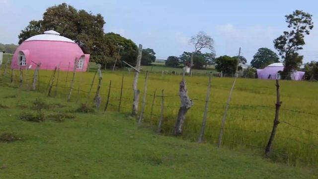 Шри-Ланка животные рядом смотреть онлайн