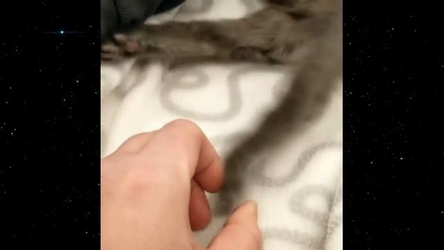 Его ПРИХЛОПНУЛИ ДВЕРЬЮ после чего он не смог больше встать смотреть онлайн