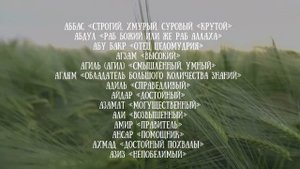 Красивые имена для мальчиков на А 2023