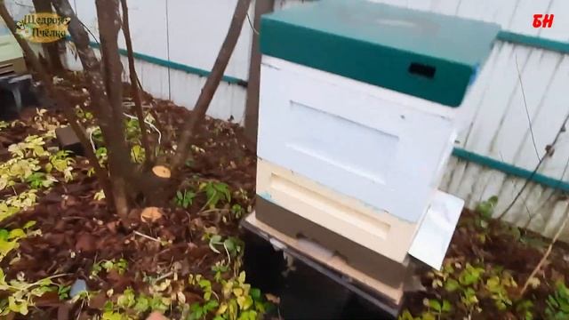 как бороться с сыростью в ульях верхняя вентиляция пустой корпус пасека готова в зиму смотреть онлайн