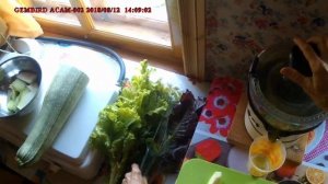 Сок из кабачка